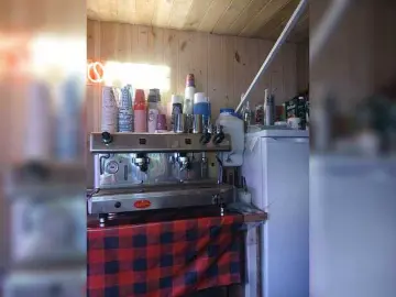 Bongacams Adult Webcam of Katriona