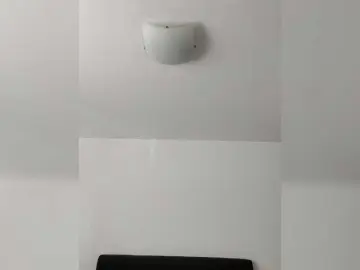 Bongacams Adult Video Chat of LittleSammy