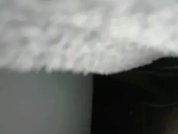 Bongacams Free Porn Cam of Bigbumboobs