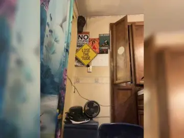 Bongacams Watch Live Sex Cams of Prurient-Gem