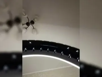 Bongacams Private Sex Chat of HellMor