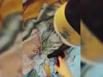 Bongacams Sex Chat of Laylay13