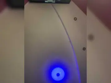 Bongacams Adult Webcam of Neulivimie