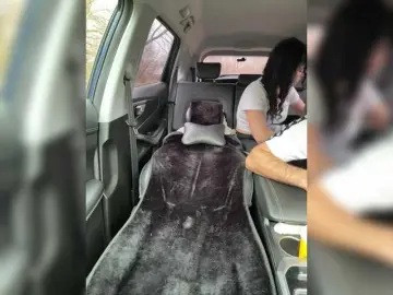 Bongacams Adult Webcam of Paratrax