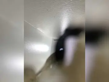 Bongacams Adult Webcam of SallyeLeins