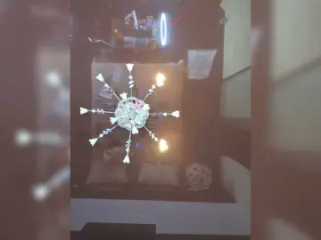 Bongacams Live Sex of HairyCrotch