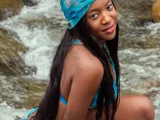 aidaadams