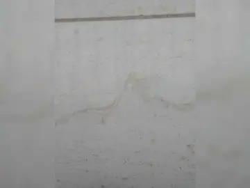 Bongacams Adult Video Chat of Juanitamami