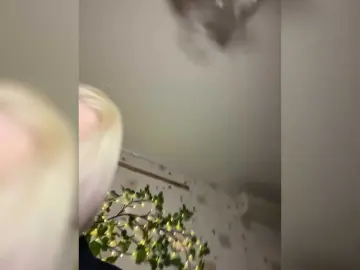 Bongacams Live Sex of BellaAndAlice