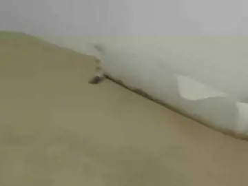 Bongacams Live Porn of OnitaBreeland