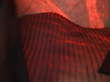 Bongacams Sex Chat of Florena-1