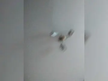 Bongacams Live Sex of Cekcukyc
