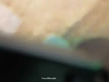 Bongacams Best Webcam of Charlotte-glasses