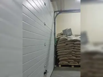 Bongacams Best Webcam of Swit777