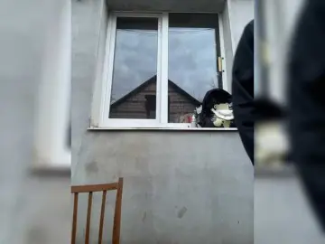 Bongacams Watch Live Sex Cams of Masya1996