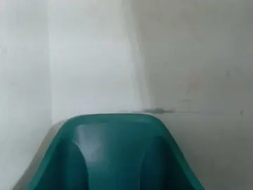 Bongacams Watch Live Sex Cams of Sugarxpussy