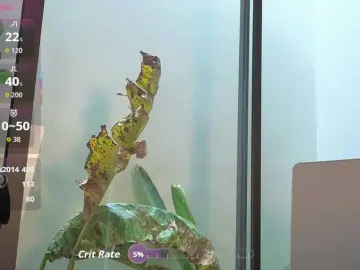 Bongacams Live Sex of came-a-lot