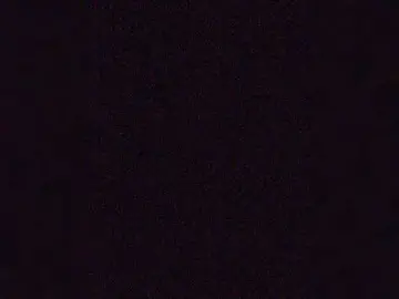 Bongacams Watch Live Sex Cams of Camdolie