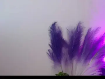 Bongacams Private Sex Chat of Queen-Rosee