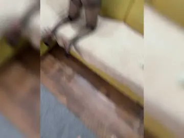 Bongacams Live Porn of lolave