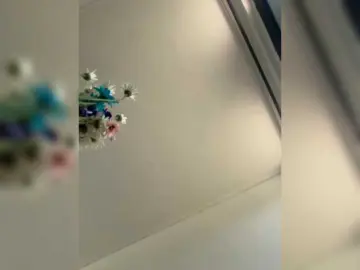 Bongacams Sex Cam of TinyRouse