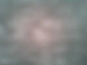 Bongacams Free Live Porn of SashaSquirt1