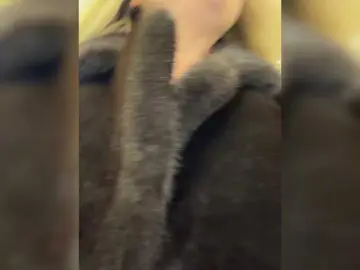 Bongacams Sex Chat of Kotofeyka1