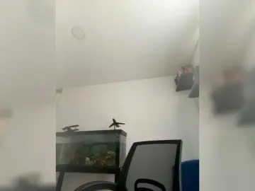 Bongacams Sex Chat of EvanShell1