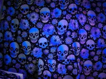 Bongacams Adult Webcams of Zadirafoxy