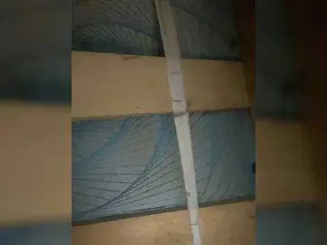 Bongacams Free Live Porn of candicelovee