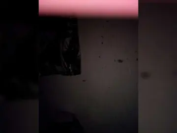 Bongacams Adult Video Chat of candicelovee