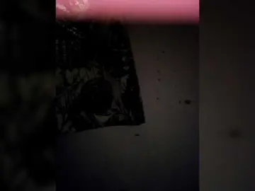 Bongacams Live Sex of candicelovee