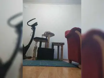 Bongacams Adult Webcam of MySky23