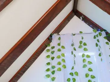 Bongacams Best live sex cam show of lucia-sweeet