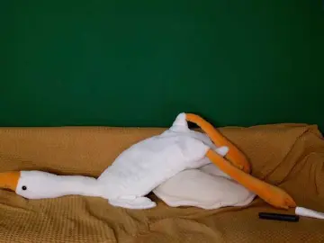 Bongacams Live Sex of jane-booblegum