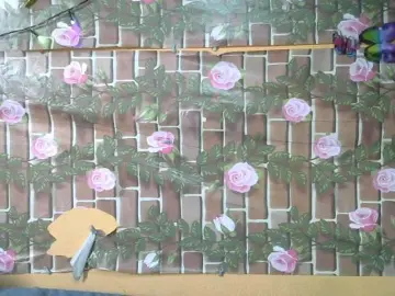 Bongacams Live Sex of HasMinah92