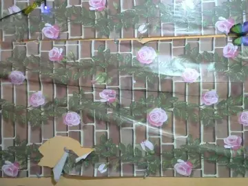 Bongacams Adult Webcam of HasMinah92