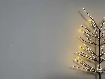 Bongacams Live Porn of BarbieSize