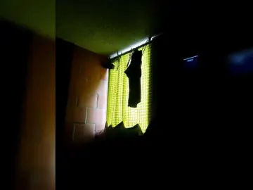 Bongacams Sex Chat of IMENET