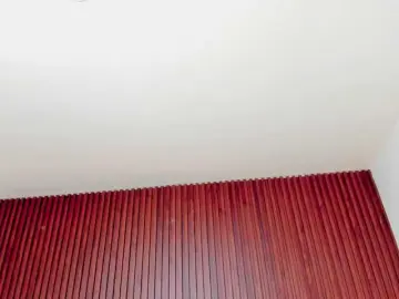 Bongacams Live Porn of Arianaa-Cooper