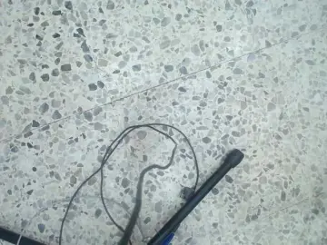 Bongacams Adult Video Chat of moxa-hot