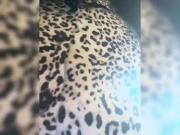 Bongacams Free Live Porn of KarolinaMilf