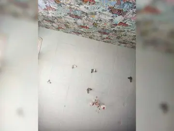 Bongacams Adult Webcam of TearPrincess