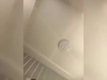 Bongacams Adult Webcam of Dream022