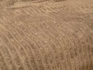 Bongacams Adult Video Chat of Starfeet