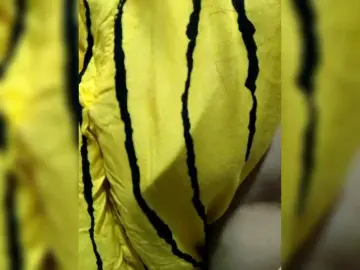 Bongacams Free Live Porn of candyshane