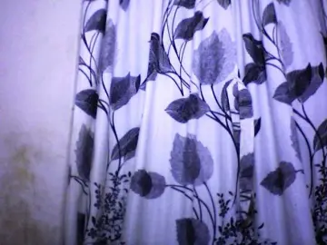 Bongacams Adult Webcams of silviaLaBombe