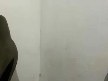 Bongacams Free Live Porn of MaganAveni