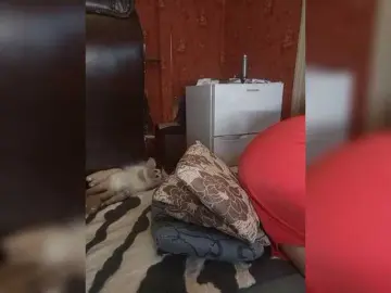 Bongacams Best Webcam of SexyNaturalka