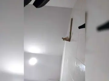 Bongacams Adult Video Chat of Marcela-5